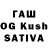 Галлюциногенные грибы Cubensis qqwrl