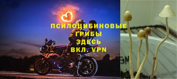 метадон Абаза