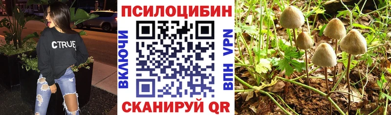 наркошоп  Новая Усмань  Галлюциногенные грибы прущие грибы 